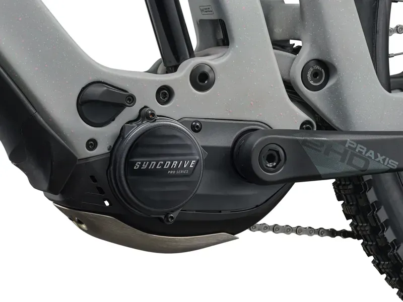 Giant Reign Advanced E+ 2 E-MTB in Moon Dust-6