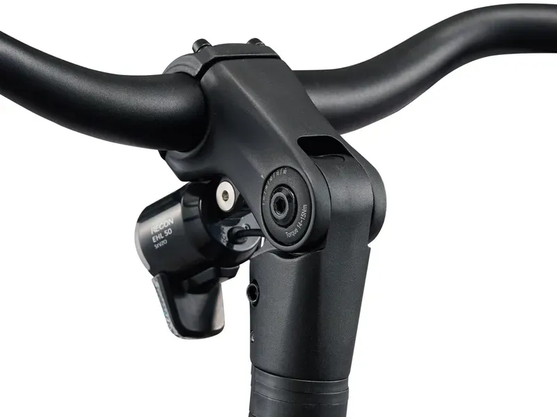 Giant NewTour E+ 3 LST 25km/H Electric Bike in Kelp/Forest-8