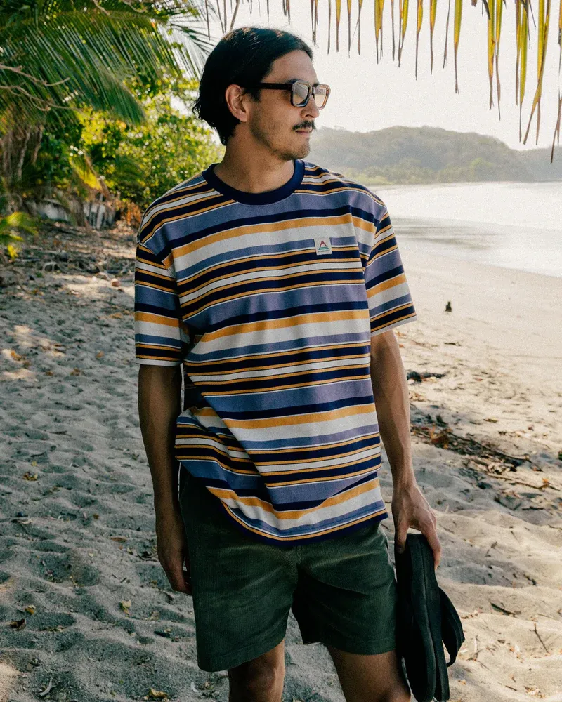 Passenger Men's Wild Pine Relaxed Fit Stripe T-Shirt - Heather Organic Cotton Tee