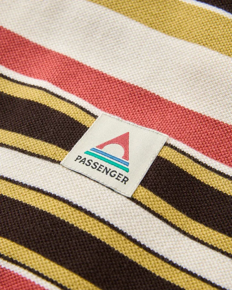 Passenger Wild Pine Stripe T-Shirt - Redwood Multi Stripe-4