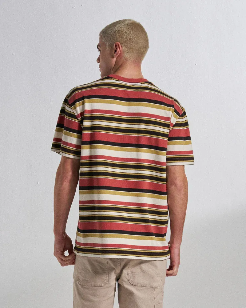 Passenger Wild Pine Stripe T-Shirt - Redwood Multi Stripe-2