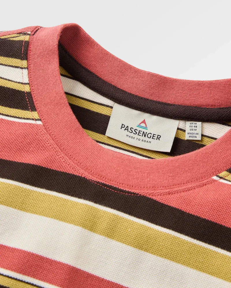 Passenger Wild Pine Stripe T-Shirt - Redwood Multi Stripe-3