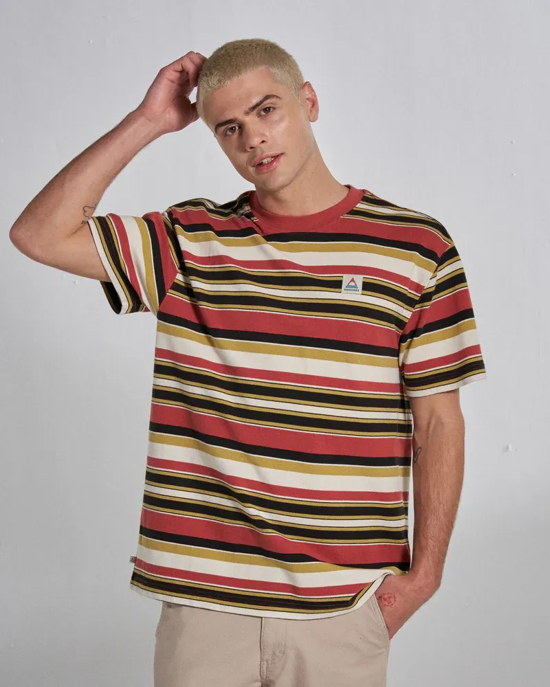 Passenger Wild Pine Stripe T-Shirt - Redwood Multi Stripe-1