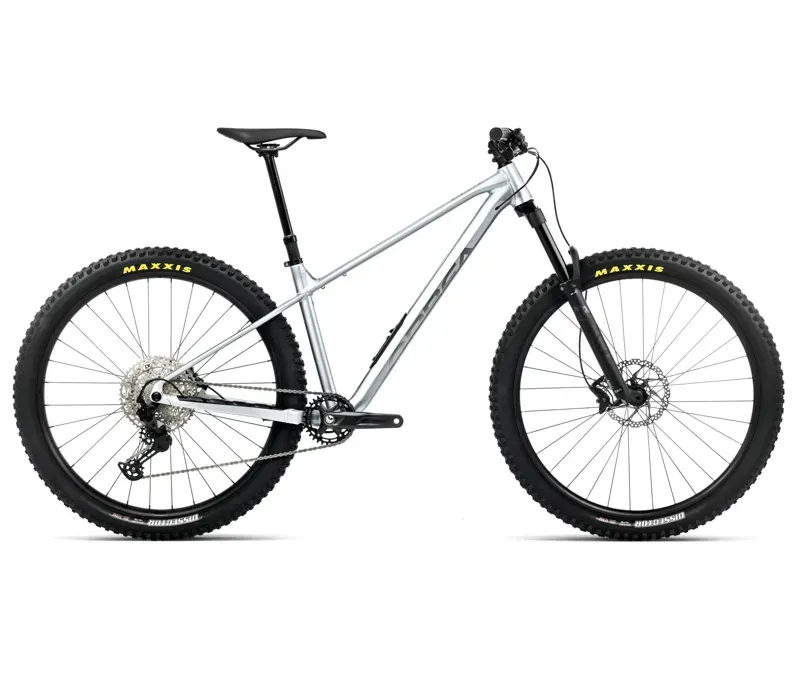 Orbea Laufey H10 Mountain Bike in Smooth Silver Matt/Titanium Gloss
