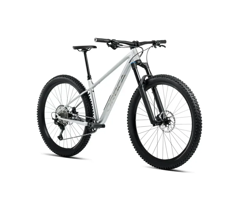 Orbea Laufey H10 Mountain Bike in Smooth Silver Matt/Titanium Gloss-1